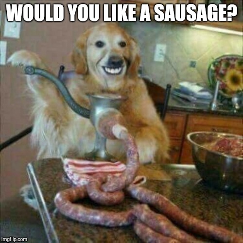 You don't wanna know what it's made of... | WOULD YOU LIKE A SAUSAGE? | image tagged in creepy,dog,sausage,cursed image | made w/ Imgflip meme maker