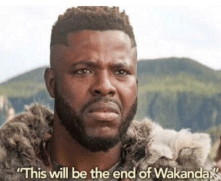 High Quality This will be the end of wakanda Blank Meme Template