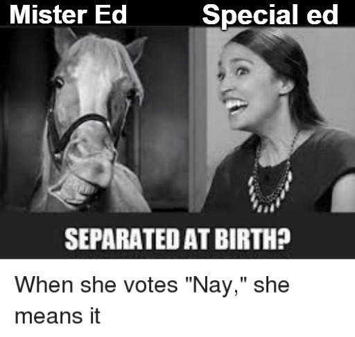 Mister Ed & Special ed | Mister Ed | image tagged in crazy alexandria ocasio-cortez,take the short bus aoc,special ed,separated at birth,aoc,alexandria ocasio-cortez | made w/ Imgflip meme maker