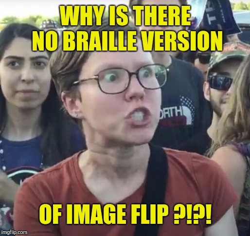 Triggered feminist | WHY IS THERE NO BRAILLE VERSION OF IMAGE FLIP ?!?! | image tagged in triggered feminist | made w/ Imgflip meme maker