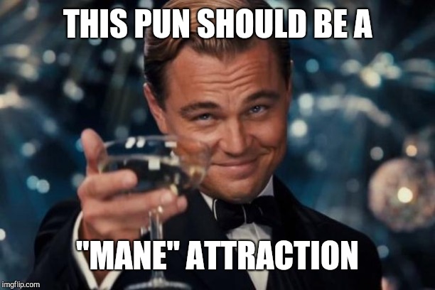 Leonardo Dicaprio Cheers Meme | THIS PUN SHOULD BE A "MANE" ATTRACTION | image tagged in memes,leonardo dicaprio cheers | made w/ Imgflip meme maker