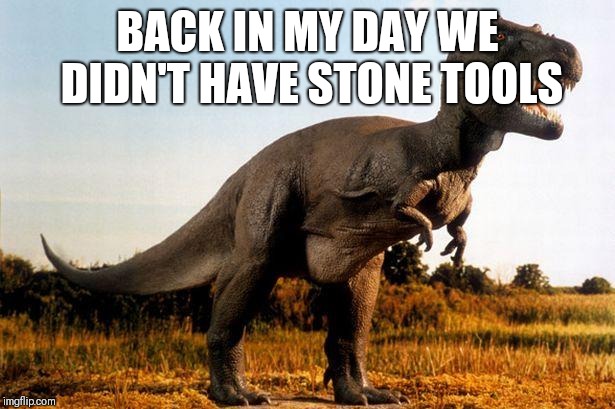 dinosaur | BACK IN MY DAY WE DIDN'T HAVE STONE TOOLS | image tagged in dinosaur | made w/ Imgflip meme maker
