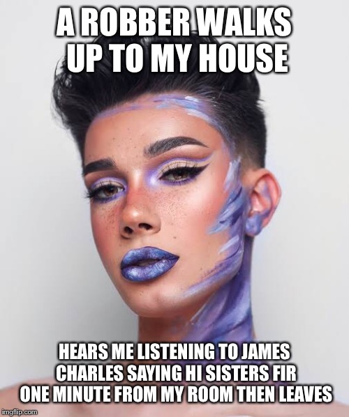 THANK U JAMES CHARLES | A ROBBER WALKS UP TO MY HOUSE; HEARS ME LISTENING TO JAMES CHARLES SAYING HI SISTERS FIR ONE MINUTE FROM MY ROOM THEN LEAVES | image tagged in makeup,robber,isis,allahu akbar,men,thank you | made w/ Imgflip meme maker