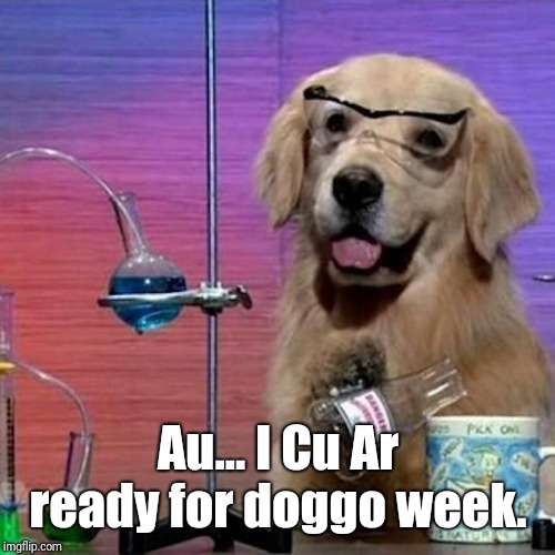 I Have No Idea What I Am Doing Dog Meme | Au... I Cu Ar ready for doggo week. | image tagged in memes,i have no idea what i am doing dog | made w/ Imgflip meme maker