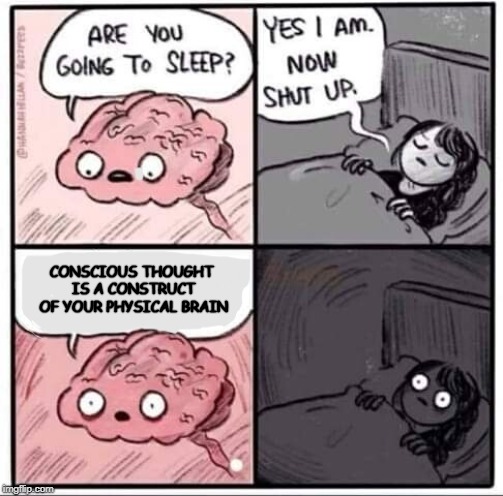 Bedtime is not metaphysics time | CONSCIOUS THOUGHT IS A CONSTRUCT OF YOUR PHYSICAL BRAIN | image tagged in are you going to sleep,memes,metaphysics | made w/ Imgflip meme maker