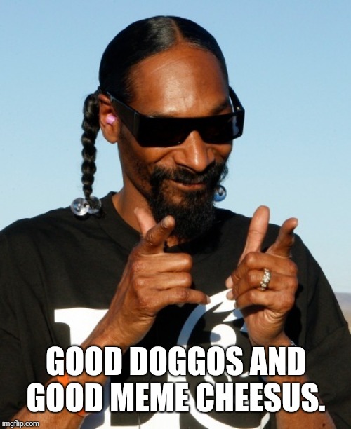 Snoop Dogg approves | GOOD DOGGOS AND GOOD MEME CHEESUS. | image tagged in snoop dogg approves | made w/ Imgflip meme maker
