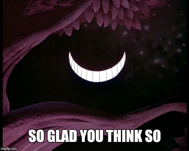 Cheshire Cat Grin | SO GLAD YOU THINK SO | image tagged in cheshire cat grin | made w/ Imgflip meme maker