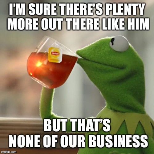 But That's None Of My Business Meme | I’M SURE THERE’S PLENTY MORE OUT THERE LIKE HIM BUT THAT’S NONE OF OUR BUSINESS | image tagged in memes,but thats none of my business,kermit the frog | made w/ Imgflip meme maker