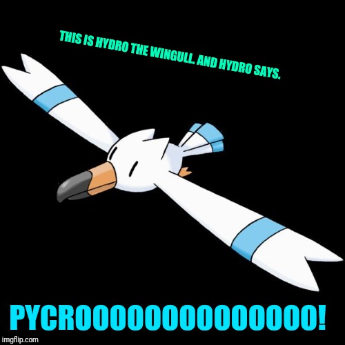 Oh look. It's my Wingull.  | THIS IS HYDRO THE WINGULL. AND HYDRO SAYS. PYCROOOOOOOOOOOOOO! | image tagged in hydro the wingull,pokemon | made w/ Imgflip meme maker