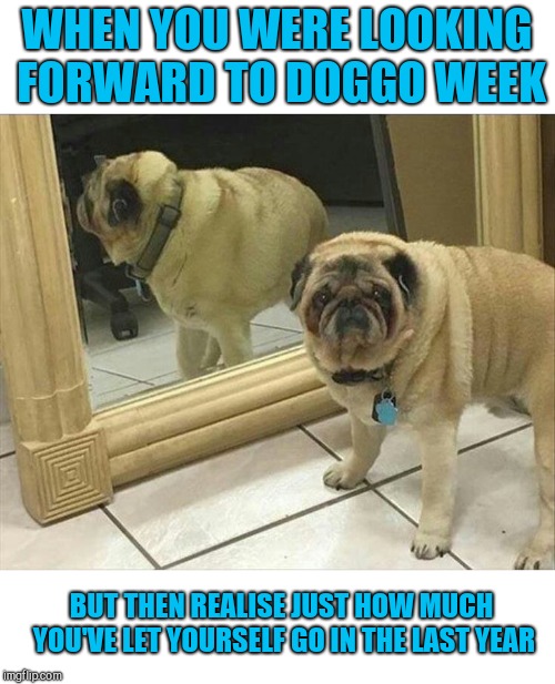 (Doggo week. A 1forpeace and Blaze_the_Blaziken event) | WHEN YOU WERE LOOKING FORWARD TO DOGGO WEEK; BUT THEN REALISE JUST HOW MUCH YOU'VE LET YOURSELF GO IN THE LAST YEAR | image tagged in doggo week,doggo week a 1forpeace and blaze_the_blaziken event,tubby puggy,poor dog | made w/ Imgflip meme maker