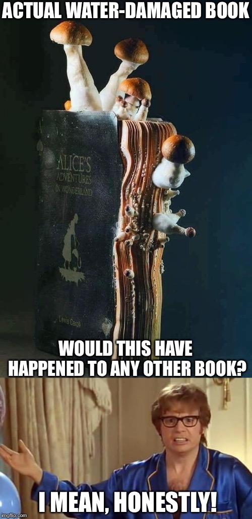 Book be trippin’ | ACTUAL WATER-DAMAGED BOOK; WOULD THIS HAVE HAPPENED TO ANY OTHER BOOK? I MEAN, HONESTLY! | image tagged in austin powers honestly,alice in wonderland,old books,weird,memes | made w/ Imgflip meme maker