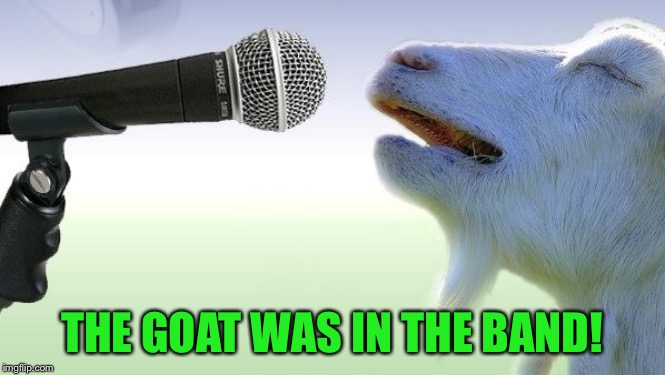 goat singing | THE GOAT WAS IN THE BAND! | image tagged in goat singing | made w/ Imgflip meme maker