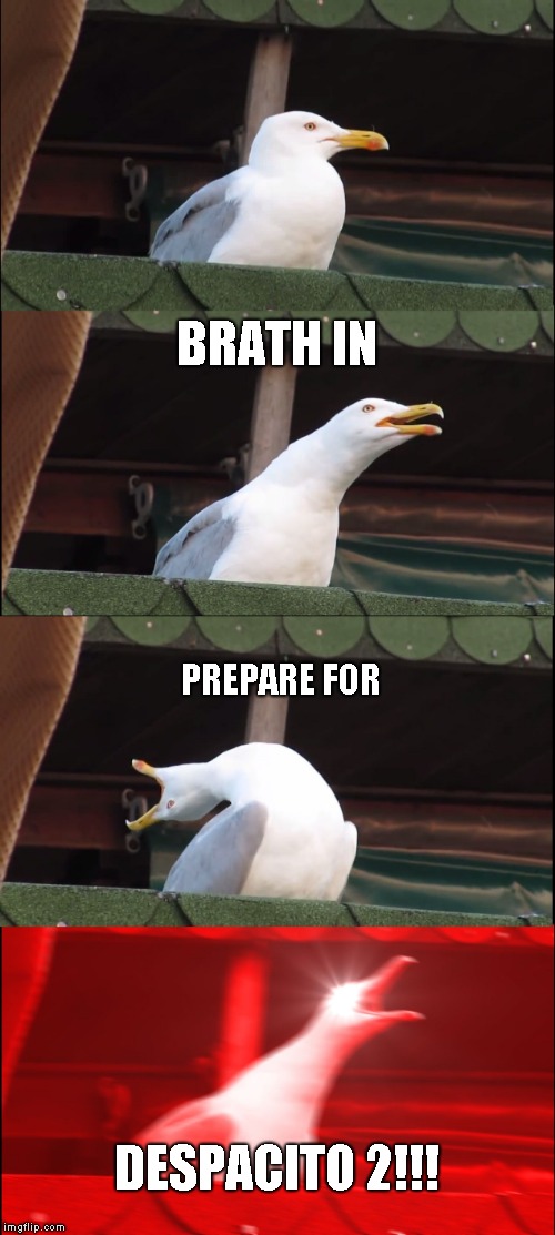 Inhaling Seagull | BRATH IN; PREPARE FOR; DESPACITO 2!!! | image tagged in memes,inhaling seagull | made w/ Imgflip meme maker