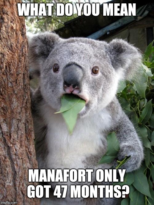Surprised Koala Meme | WHAT DO YOU MEAN; MANAFORT ONLY GOT 47 MONTHS? | image tagged in memes,surprised koala | made w/ Imgflip meme maker