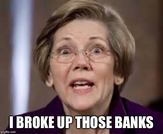 Full Retard Senator Elizabeth Warren | I BROKE UP THOSE BANKS | image tagged in full retard senator elizabeth warren | made w/ Imgflip meme maker
