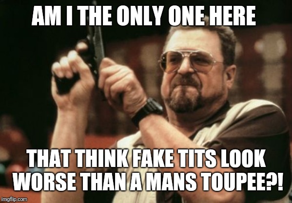 Am I The Only One Around Here Meme | AM I THE ONLY ONE HERE; THAT THINK FAKE TITS LOOK WORSE THAN A MANS TOUPEE?! | image tagged in memes,am i the only one around here | made w/ Imgflip meme maker