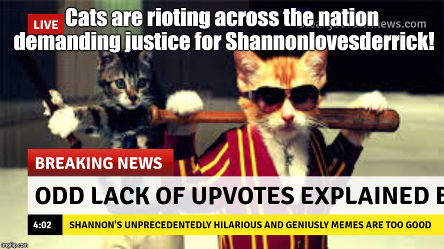 I totally felt like my memes should have had more upvotes. This thing has GOVERNMENT CONSPIRACY written all over it. | Cats are rioting across the nation demanding justice for Shannonlovesderrick! | image tagged in upvotes,cats,cat | made w/ Imgflip meme maker