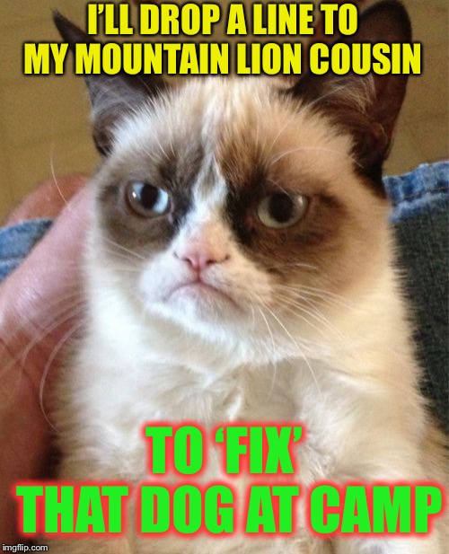 Grumpy Cat Meme | I’LL DROP A LINE TO MY MOUNTAIN LION COUSIN TO ‘FIX’ THAT DOG AT CAMP | image tagged in memes,grumpy cat | made w/ Imgflip meme maker
