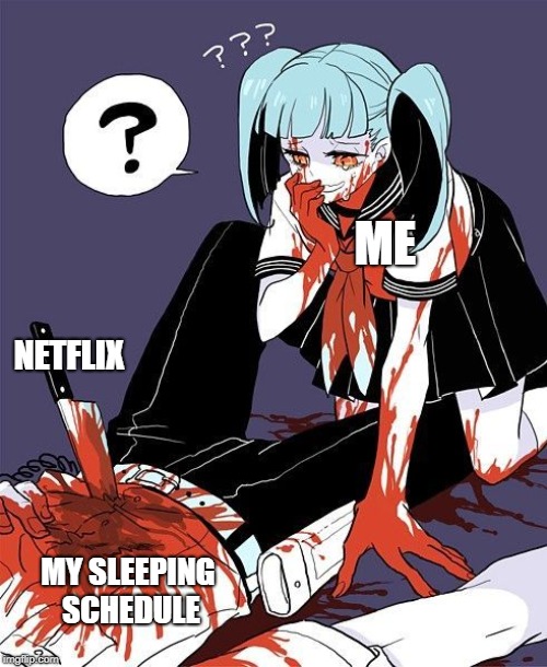 ME; NETFLIX; MY SLEEPING SCHEDULE | image tagged in i murder and i couldn't have regretted it more | made w/ Imgflip meme maker