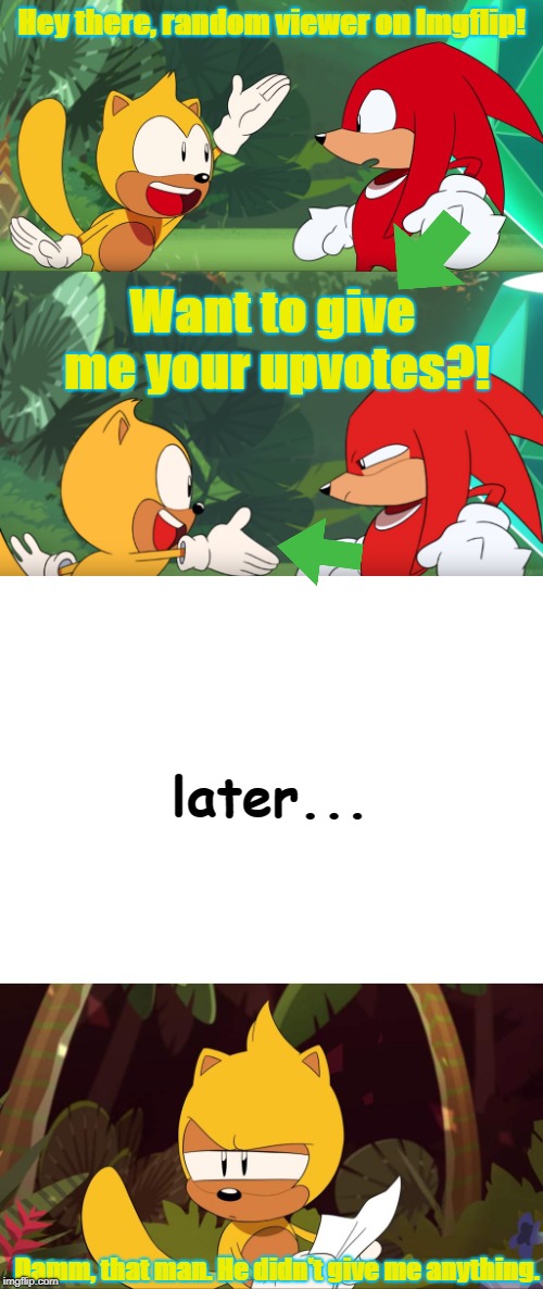 Ray's adventure! | Hey there, random viewer on Imgflip! Want to give me your upvotes?! later... Damm, that man. He didn't give me anything. | image tagged in raytheflyingsquirrel,blank white template,upvote | made w/ Imgflip meme maker