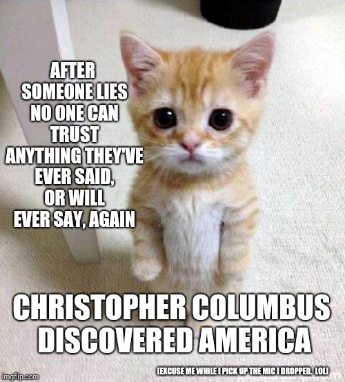 Trust No One That Uses "Government" As An Excuse | AFTER SOMEONE LIES NO ONE CAN TRUST ANYTHING THEY'VE EVER SAID, OR WILL EVER SAY, AGAIN; CHRISTOPHER COLUMBUS DISCOVERED AMERICA; (EXCUSE ME WHILE I PICK UP THE MIC I DROPPED.  LOL) | image tagged in memes,cute cat,trump unfit unqualified dangerous,politicians suck,liars,thieves | made w/ Imgflip meme maker