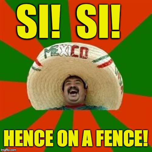 succesful mexican | SI!  SI! HENCE ON A FENCE! | image tagged in succesful mexican | made w/ Imgflip meme maker