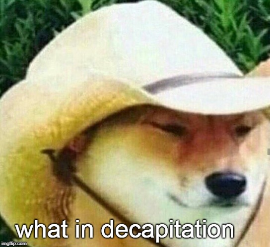 What in tarnation | what in decapitation | image tagged in what in tarnation | made w/ Imgflip meme maker