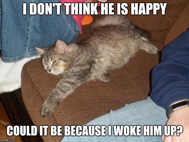 Angry cat | I DON'T THINK HE IS HAPPY; COULD IT BE BECAUSE I WOKE HIM UP? | image tagged in sleepy cat | made w/ Imgflip meme maker