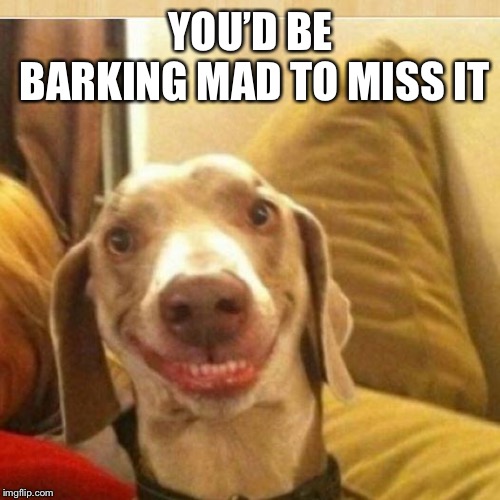 big smile doggie | YOU’D BE BARKING MAD TO MISS IT | image tagged in big smile doggie | made w/ Imgflip meme maker