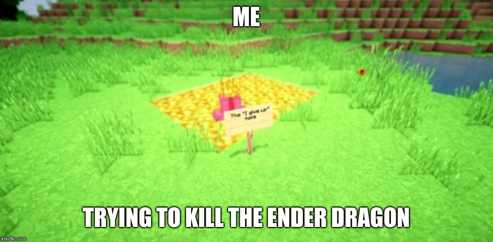 I give up  | ME; TRYING TO KILL THE ENDER DRAGON | image tagged in minecraft,i give up,hole | made w/ Imgflip meme maker