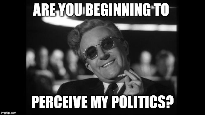 dr strangelove | ARE YOU BEGINNING TO PERCEIVE MY POLITICS? | image tagged in dr strangelove | made w/ Imgflip meme maker