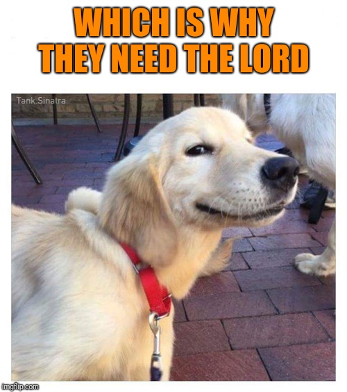 Smiling dog | WHICH IS WHY THEY NEED THE LORD | image tagged in smiling dog | made w/ Imgflip meme maker
