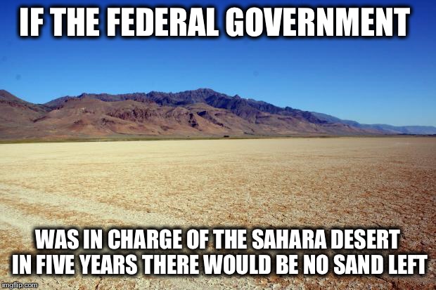 Desert Large dry | IF THE FEDERAL GOVERNMENT WAS IN CHARGE OF THE SAHARA DESERT IN FIVE YEARS THERE WOULD BE NO SAND LEFT | image tagged in desert large dry | made w/ Imgflip meme maker