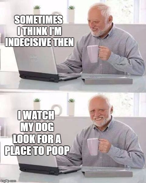 Hide the Pain Harold | SOMETIMES I THINK I'M INDECISIVE THEN; I WATCH MY DOG LOOK FOR A PLACE TO POOP | image tagged in memes,hide the pain harold,random,dog,poop,indecisive | made w/ Imgflip meme maker