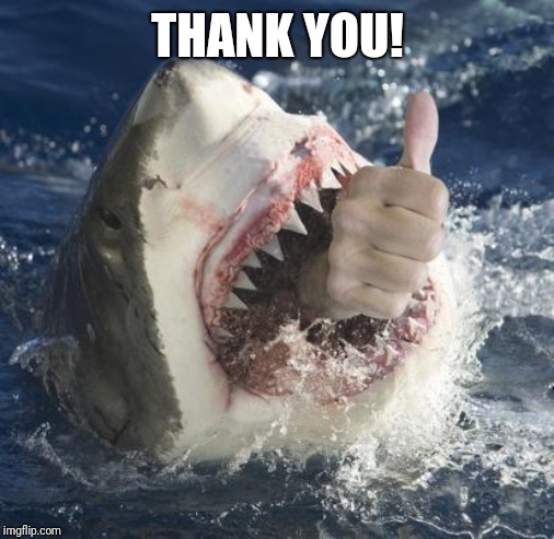 Shark thumbs up | THANK YOU! | image tagged in shark thumbs up | made w/ Imgflip meme maker