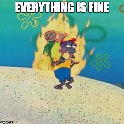 spongebob on fire | EVERYTHING IS FINE | image tagged in spongebob on fire | made w/ Imgflip meme maker