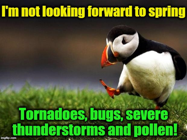 Unpopular Opinion Puffin | I'm not looking forward to spring; Tornadoes, bugs, severe thunderstorms and pollen! | image tagged in memes,unpopular opinion puffin | made w/ Imgflip meme maker