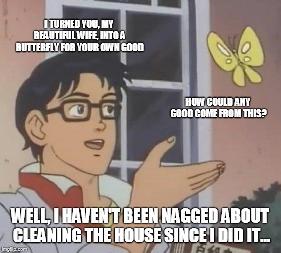 If wife won't stop nagging, turn her into a butterfly! | I TURNED YOU, MY BEAUTIFUL WIFE, INTO A BUTTERFLY FOR YOUR OWN GOOD; HOW COULD ANY GOOD COME FROM THIS? WELL, I HAVEN'T BEEN NAGGED ABOUT CLEANING THE HOUSE SINCE I DID IT... | image tagged in memes,butterfly,nagging wife | made w/ Imgflip meme maker
