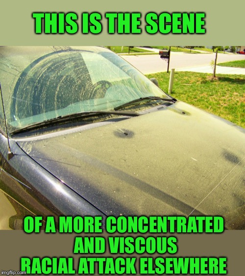 Pollen Covered Car | THIS IS THE SCENE OF A MORE CONCENTRATED AND VISCOUS RACIAL ATTACK ELSEWHERE | image tagged in pollen covered car | made w/ Imgflip meme maker