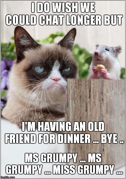 Grumpys Old Friend | I DO WISH WE COULD CHAT LONGER BUT; I'M HAVING AN OLD FRIEND FOR DINNER ... BYE .. MS GRUMPY ... MS GRUMPY ... MISS GRUMPY ... | image tagged in cats,grumpy cat,fun,silence of the lambs | made w/ Imgflip meme maker