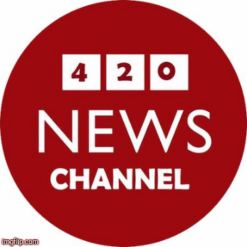 420 News Channel | image tagged in gifs,news | made w/ Imgflip images-to-gif maker