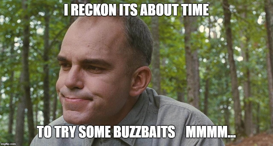 I RECKON ITS ABOUT TIME; TO TRY SOME BUZZBAITS    MMMM... | made w/ Imgflip meme maker