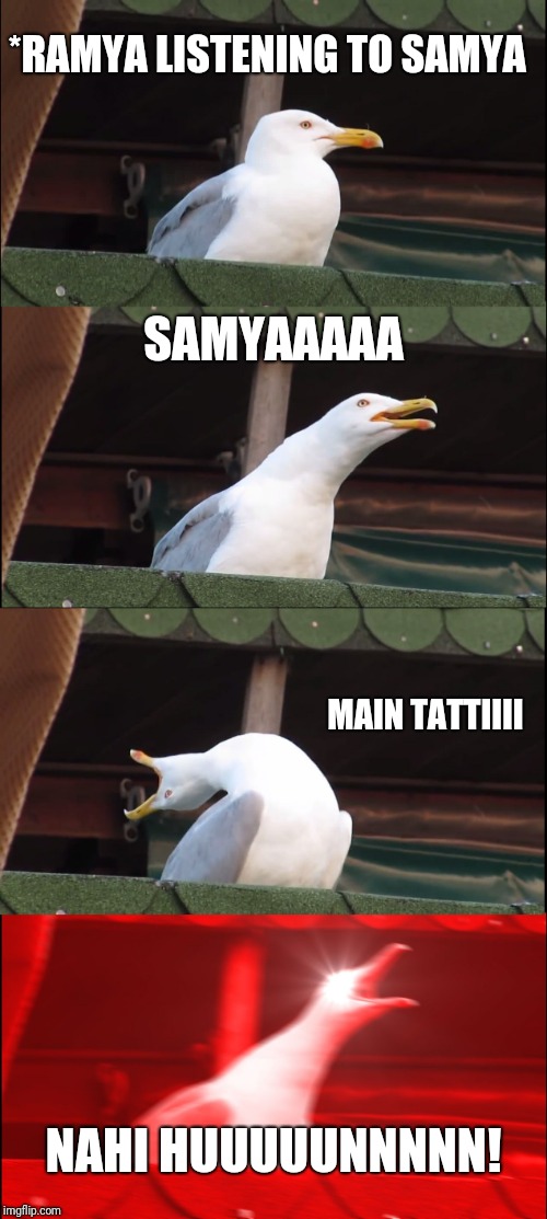 Inhaling Seagull | *RAMYA LISTENING TO SAMYA; SAMYAAAAA; MAIN TATTIIII; NAHI HUUUUUNNNNN! | image tagged in memes,inhaling seagull | made w/ Imgflip meme maker