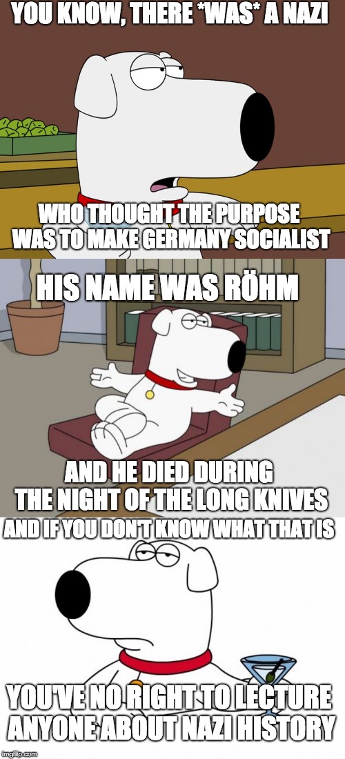Brian Griffin | YOU KNOW, THERE *WAS* A NAZI; WHO THOUGHT THE PURPOSE WAS TO MAKE GERMANY SOCIALIST; HIS NAME WAS RÖHM; AND HE DIED DURING THE NIGHT OF THE LONG KNIVES; AND IF YOU DON'T KNOW WHAT THAT IS; YOU'VE NO RIGHT TO LECTURE ANYONE ABOUT NAZI HISTORY | image tagged in memes,brian griffin,meme,nazism | made w/ Imgflip meme maker