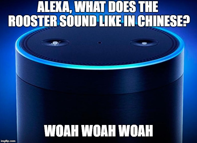 Alexa | ALEXA, WHAT DOES THE ROOSTER SOUND LIKE IN CHINESE? WOAH WOAH WOAH | image tagged in alexa | made w/ Imgflip meme maker