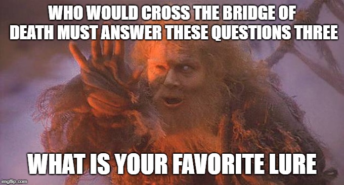 WHO WOULD CROSS THE BRIDGE OF DEATH MUST ANSWER THESE QUESTIONS THREE; WHAT IS YOUR FAVORITE LURE | made w/ Imgflip meme maker