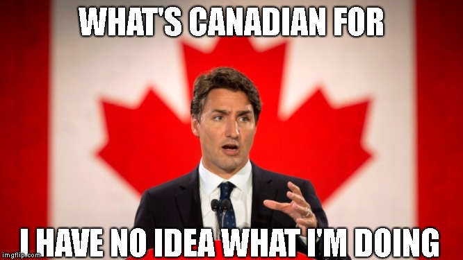 Justin Trudeau | WHAT'S CANADIAN FOR I HAVE NO IDEA WHAT I'M DOING | image tagged in justin trudeau | made w/ Imgflip meme maker
