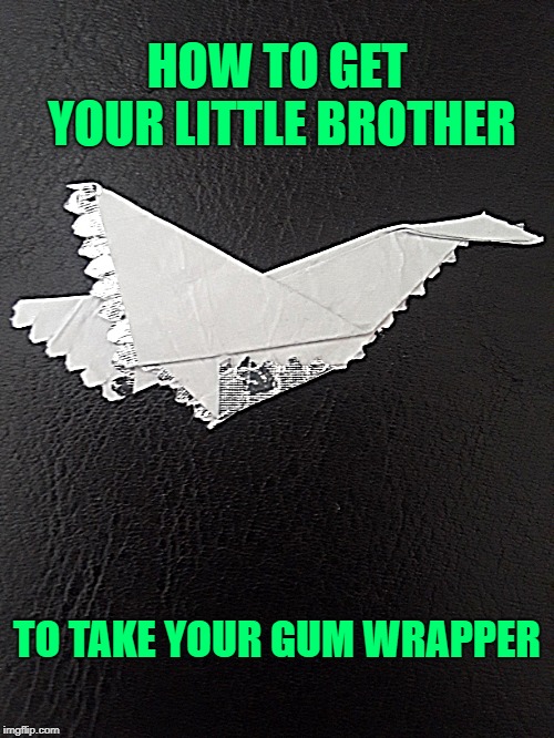 HOW TO GET YOUR LITTLE BROTHER; TO TAKE YOUR GUM WRAPPER | image tagged in brothers,origami | made w/ Imgflip meme maker