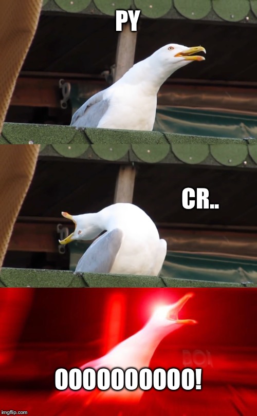 Inhaling seagull | PY CR.. OOOOOOOOOO! | image tagged in inhaling seagull | made w/ Imgflip meme maker