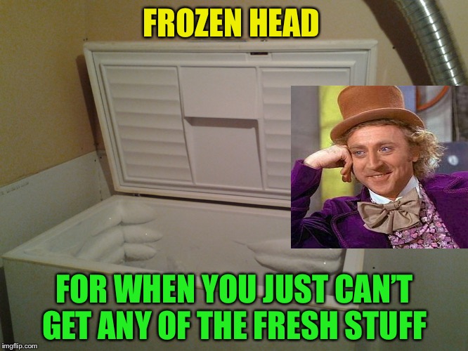 freezer | FROZEN HEAD FOR WHEN YOU JUST CAN’T GET ANY OF THE FRESH STUFF | image tagged in freezer | made w/ Imgflip meme maker